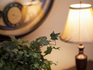 detail of a lamp and plant