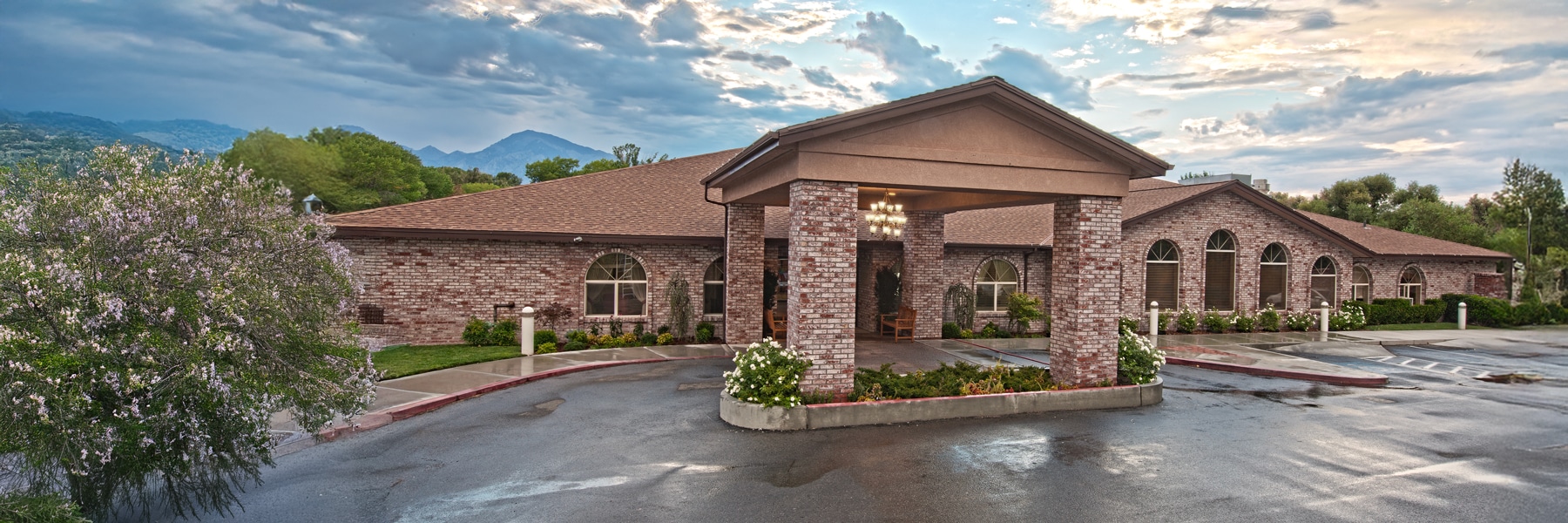 Desktop Background Image